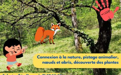 Stage Nature de 3 jours « Hûmer la forêt”- enfants