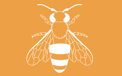 Récupération de grandes bouteilles en plastique de 1L à 2L